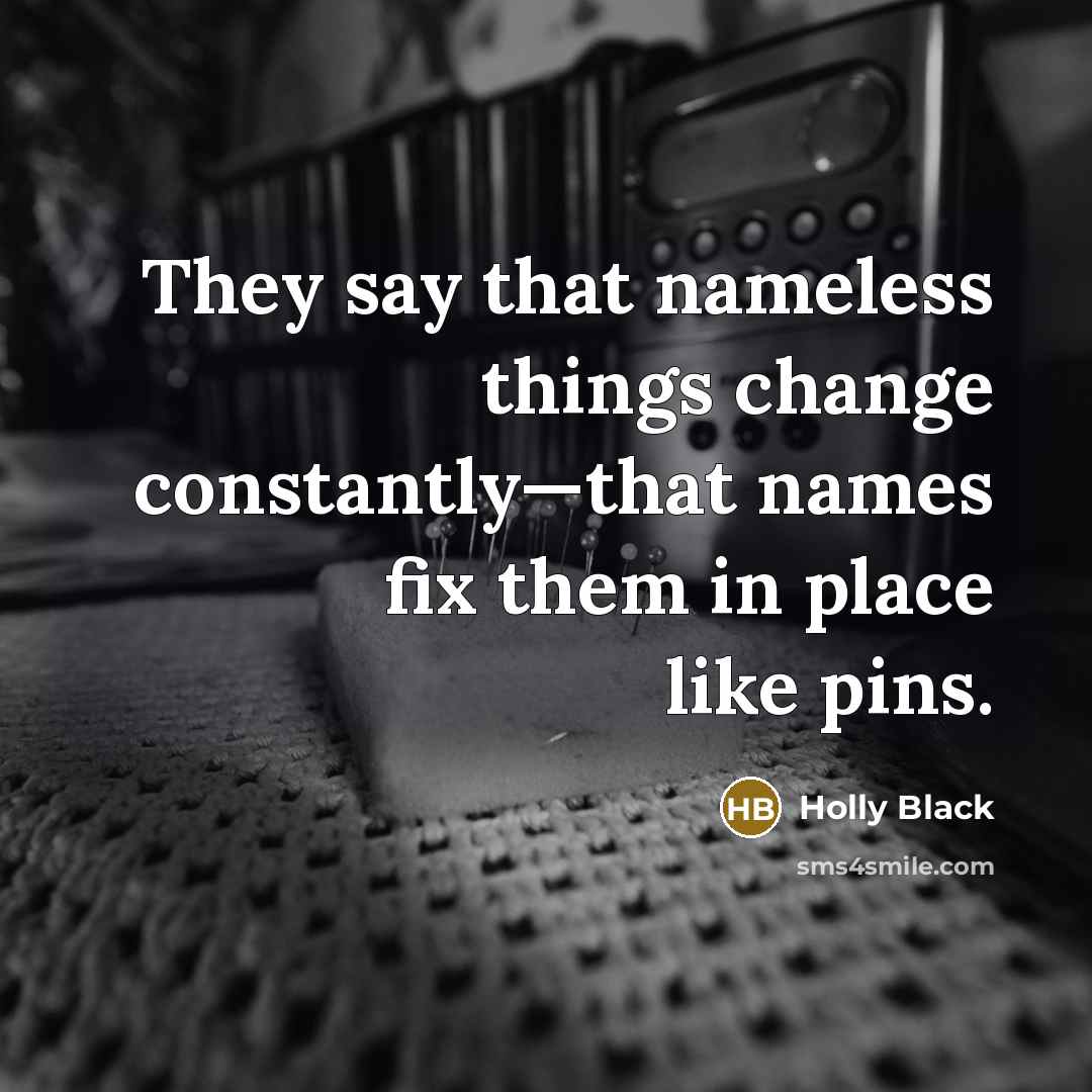 “They say that nameless things change constantly—that names fix them…” quote by Holly Black