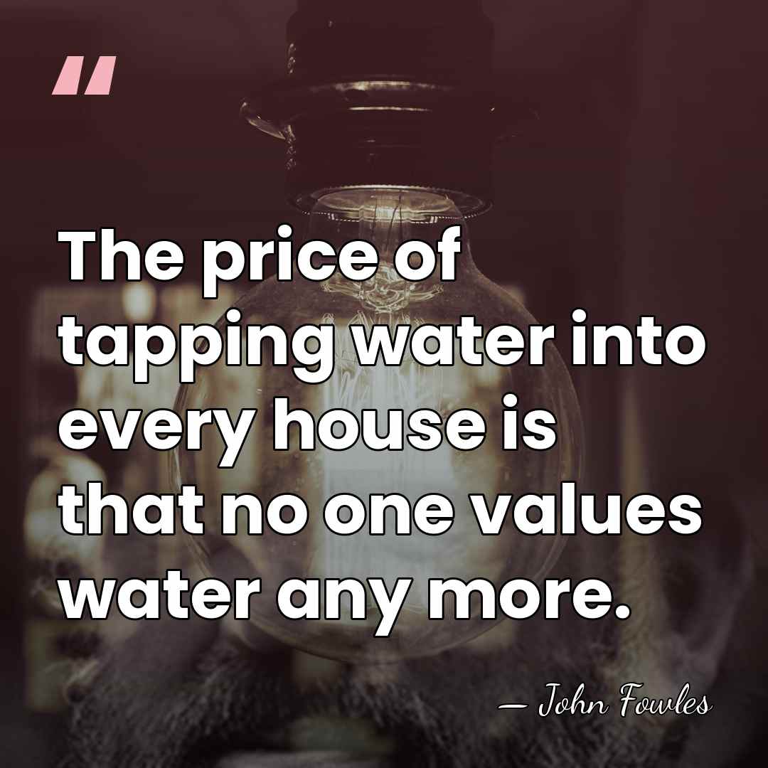 The price of tapping water into every house is that no one&hellip; - John Fowles
