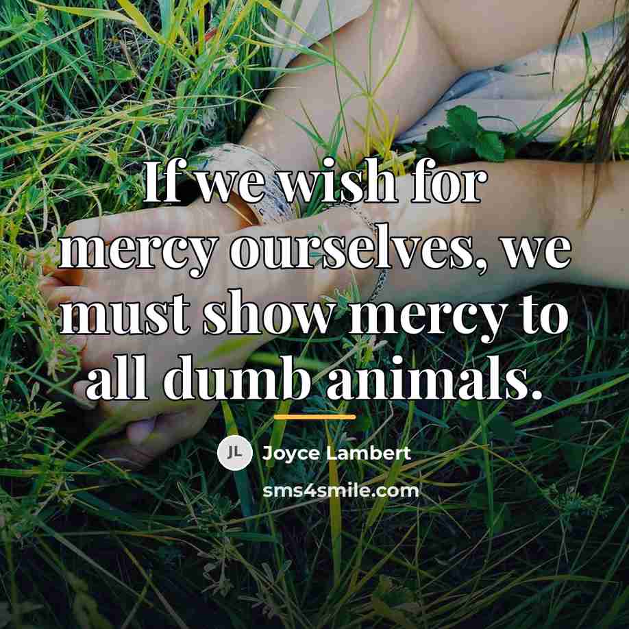 “If we wish for mercy ourselves, we must show mercy…” quote by Joyce Lambert