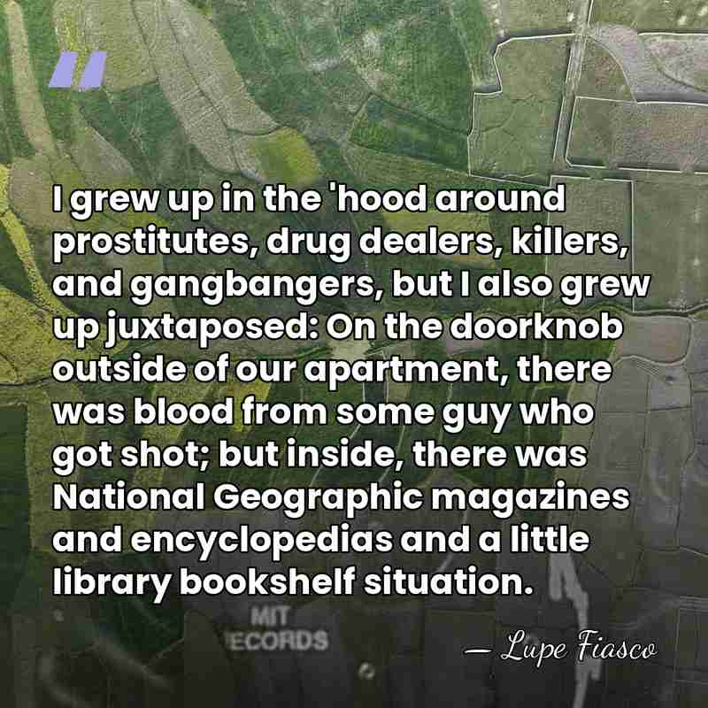 I grew up in the 'hood around prostitutes, drug dealers, killers, and&hellip; - Lupe Fiasco