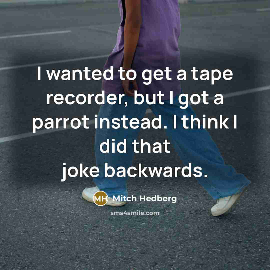 “I wanted to get a tape recorder, but I got…” quote by Mitch Hedberg