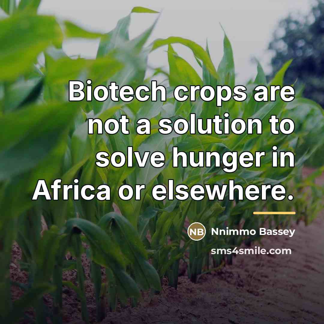 “Biotech crops are not a solution to solve hunger in…” quote by Nnimmo Bassey