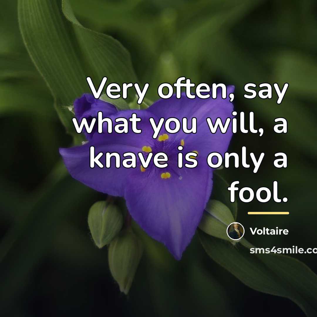 “Very often, say what you will, a knave is only…” quote by Voltaire