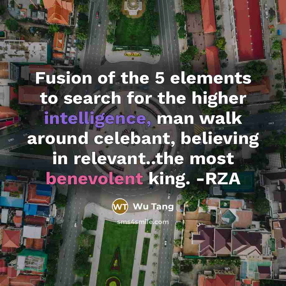 “Fusion of the 5 elements to search for the higher…” quote by Wu Tang
