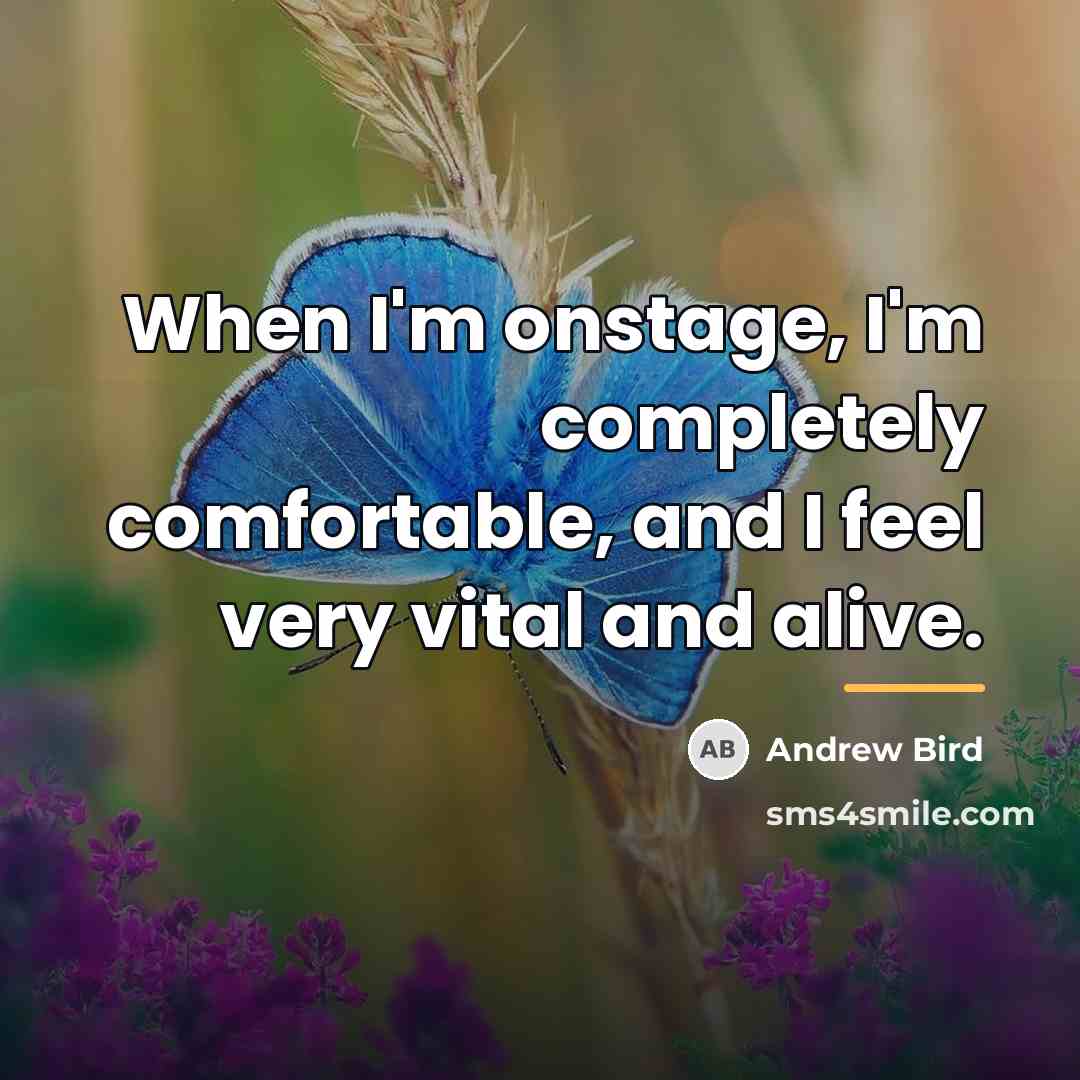 “When I'm onstage, I'm completely comfortable, and I feel very…” quote by Andrew Bird