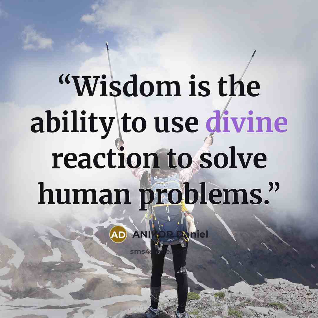 “Wisdom is the ability to use divine reaction to solve human problems.” quote by ANIKOR Daniel
