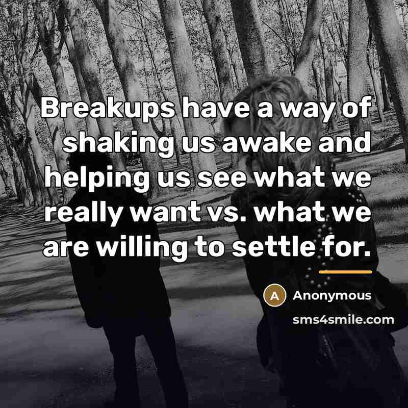 “Breakups have a way of shaking us awake and helping…” quote by Anonymous