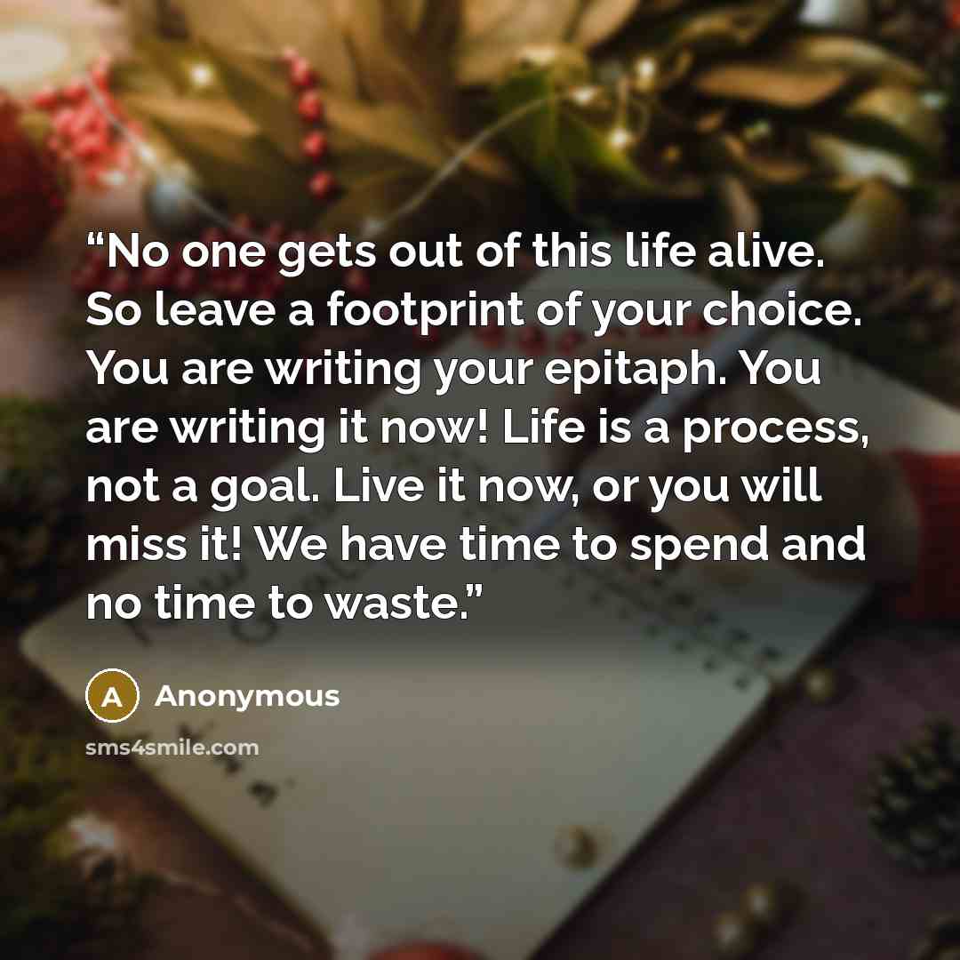 “No one gets out of this life alive. So leave a footprint of your choice. You are writing your epitaph. You are writing it now! Life is a process, not a goal. Live it now, or you will miss it! We have time to spend and no time to waste.” quote by Anonymous