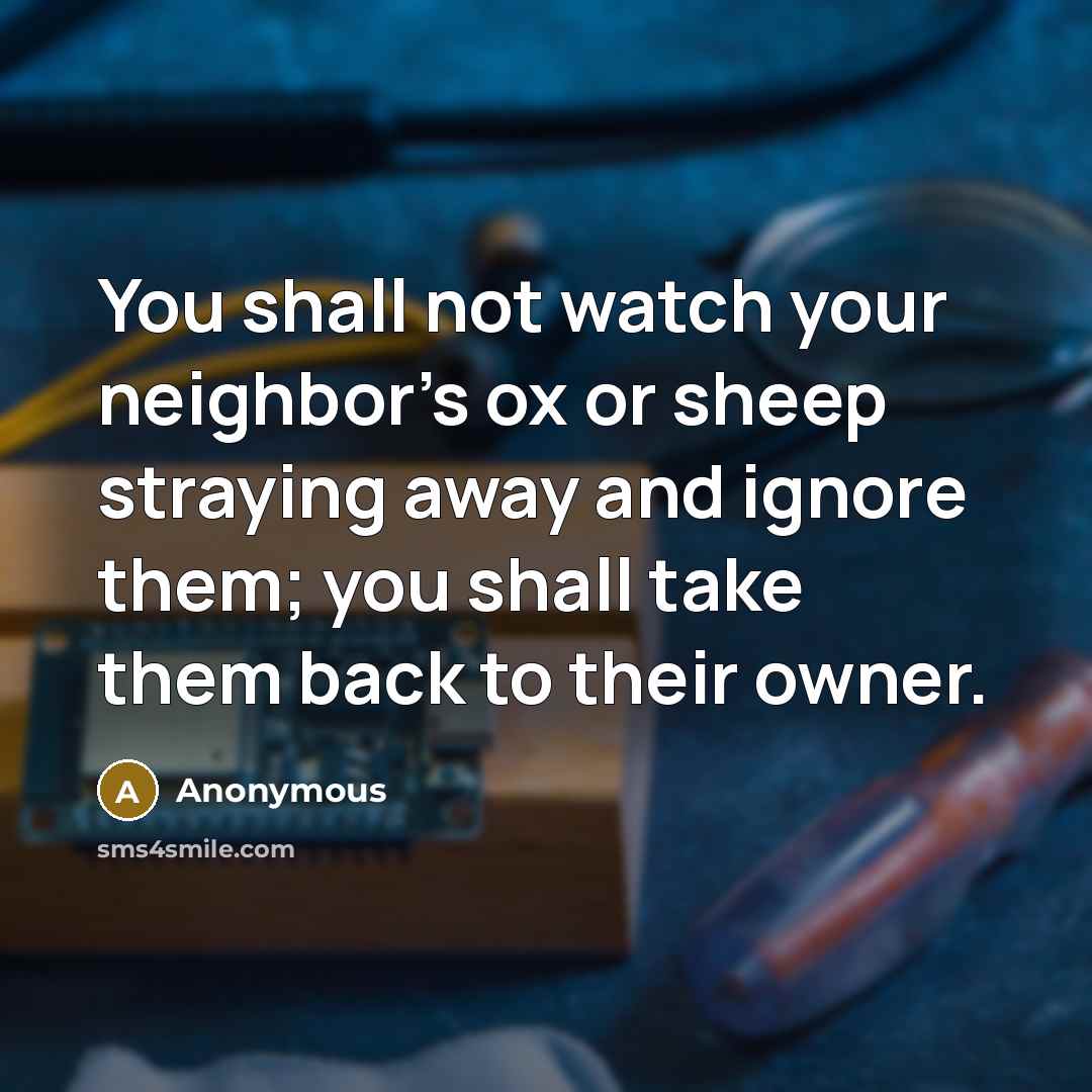 “You shall not watch your neighbor's ox or sheep straying…” quote by Anonymous