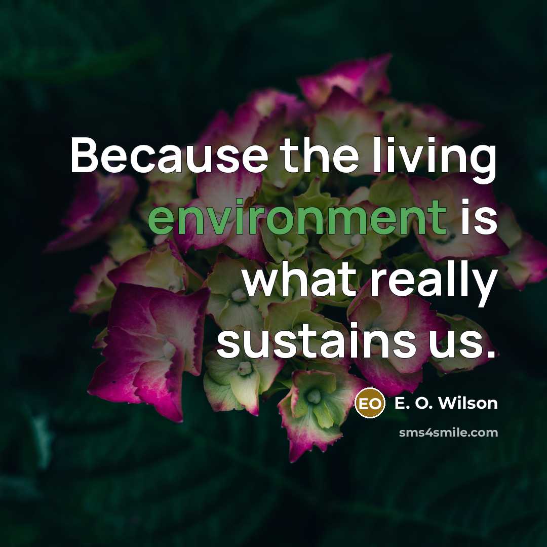 “Because the living environment is what really sustains us.…” quote by E. O. Wilson