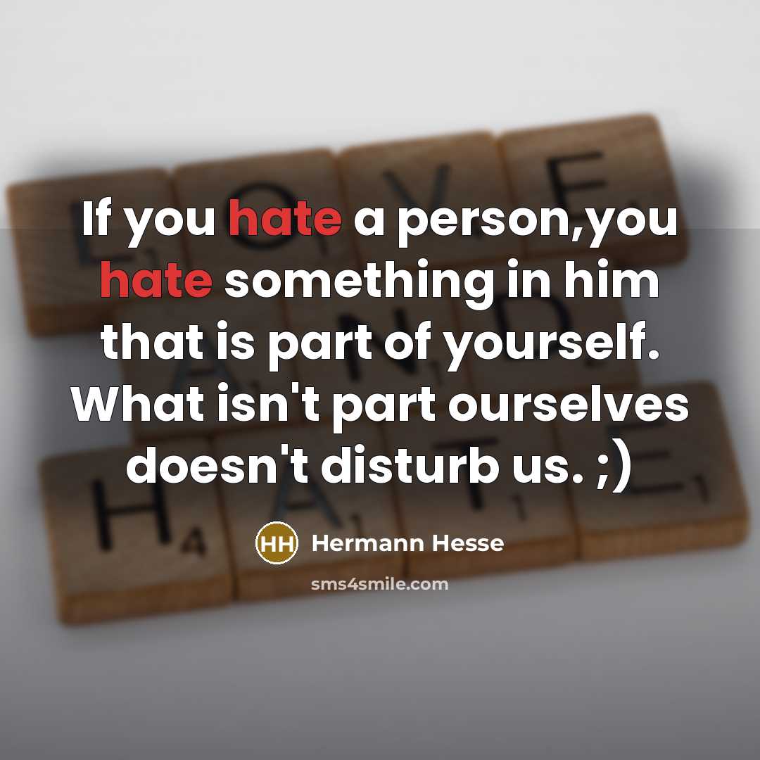 “If you hate a person,you hate something in him that is part of yourself. What isn't part ourselves doesn't disturb us. ;)” quote by Hermann Hesse