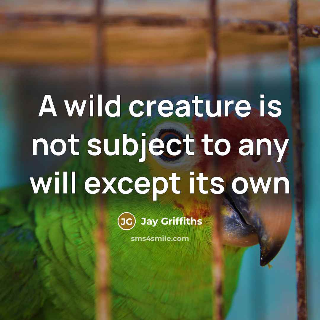 “A wild creature is not subject to any will except…” quote by Jay Griffiths