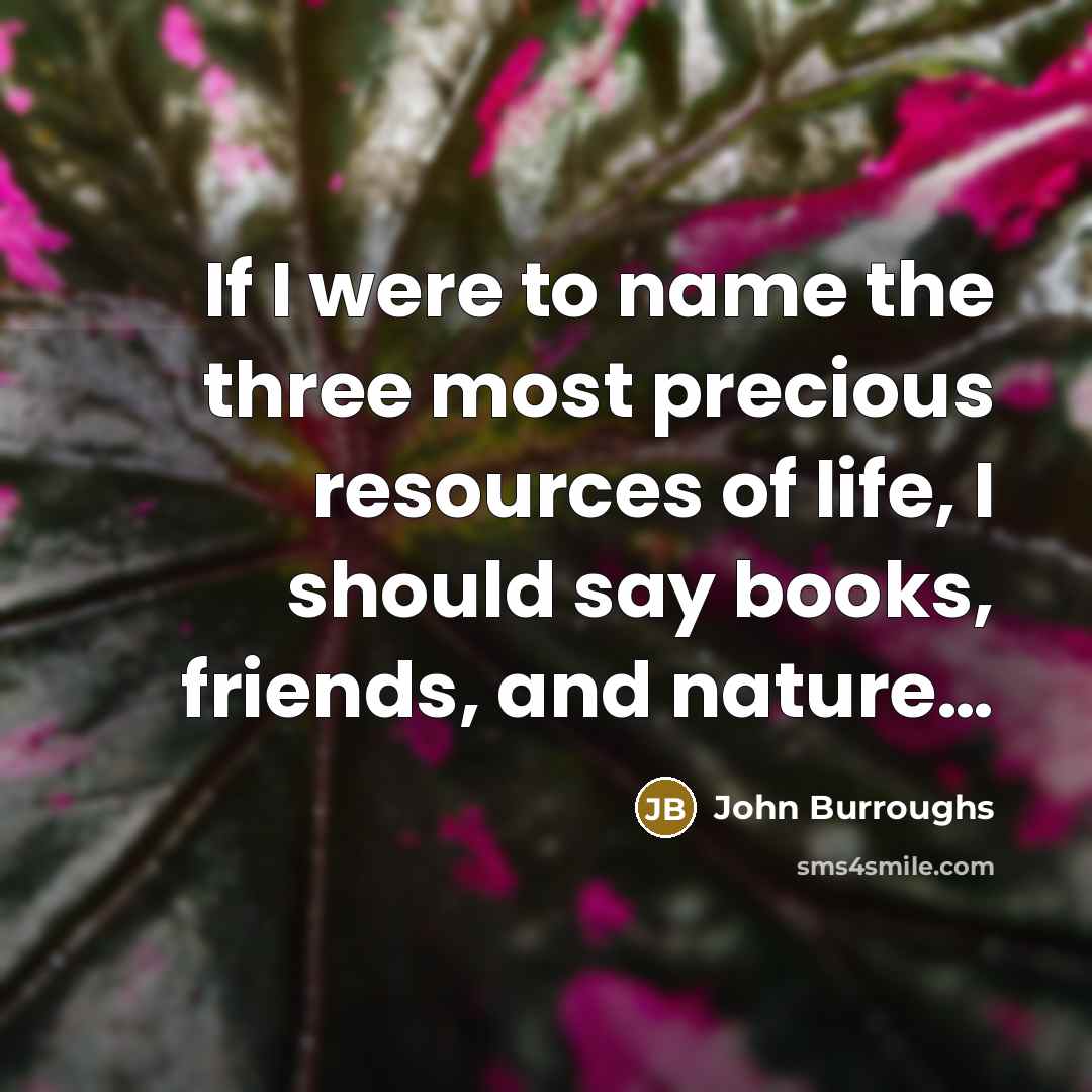 “If I were to name the three most precious resources…” quote by John Burroughs