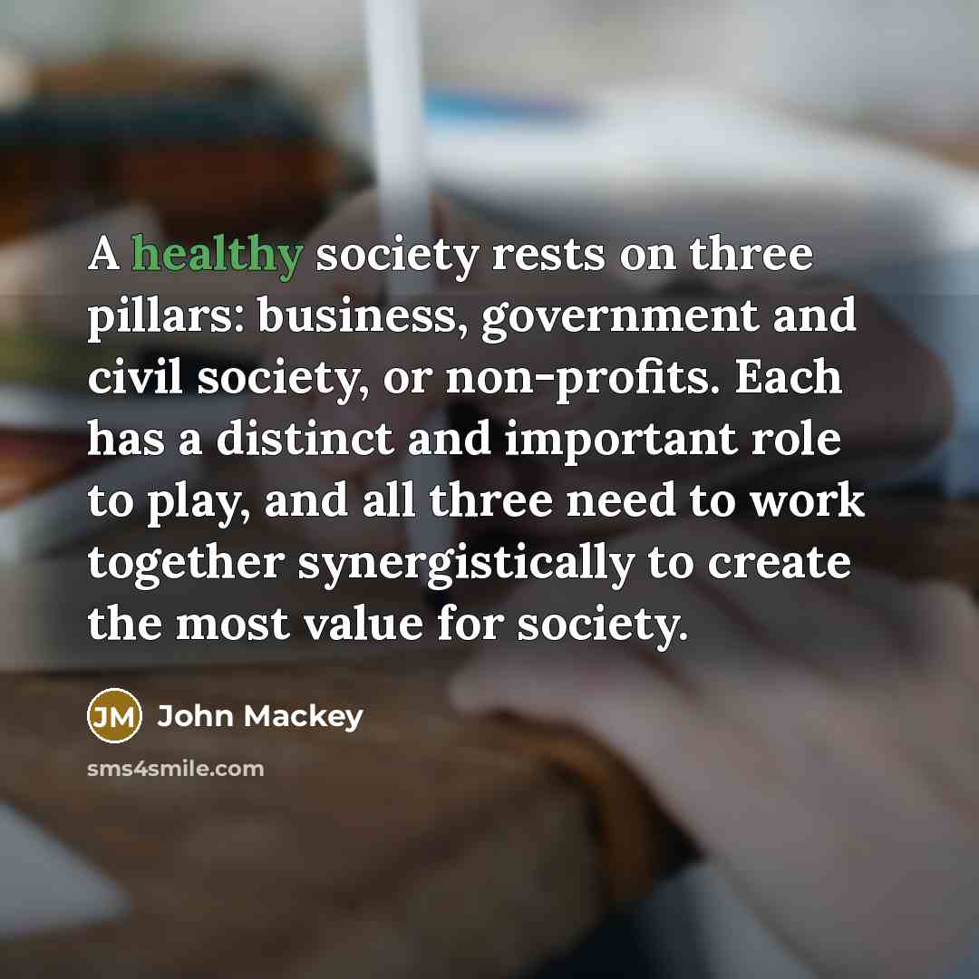 “A healthy society rests on three pillars: business, government and…” quote by John Mackey