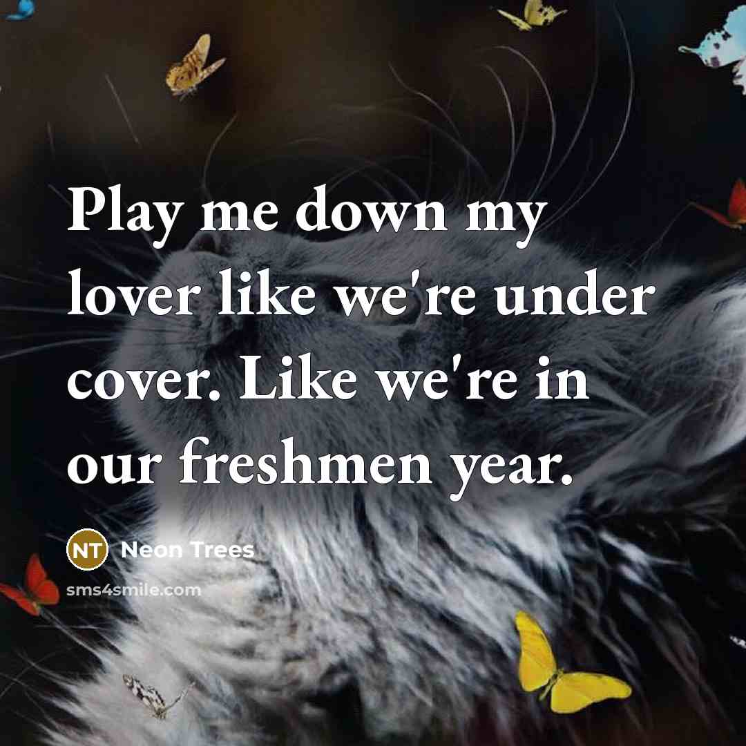 “Play me down my lover like we're under cover. Like we're in our freshmen year.” quote by Neon Trees