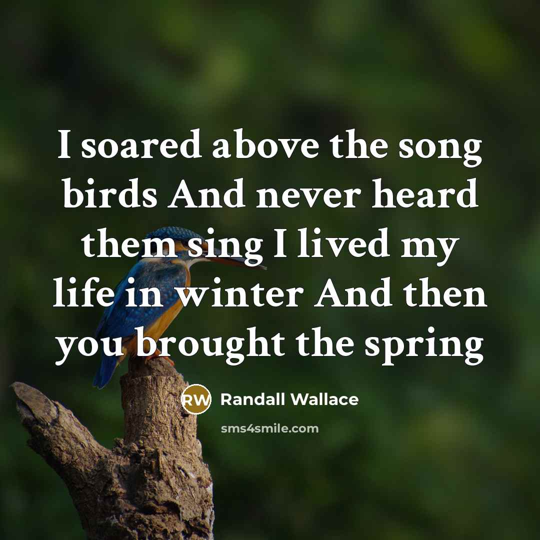 “I soared above the song birds And never heard them…” quote by Randall Wallace