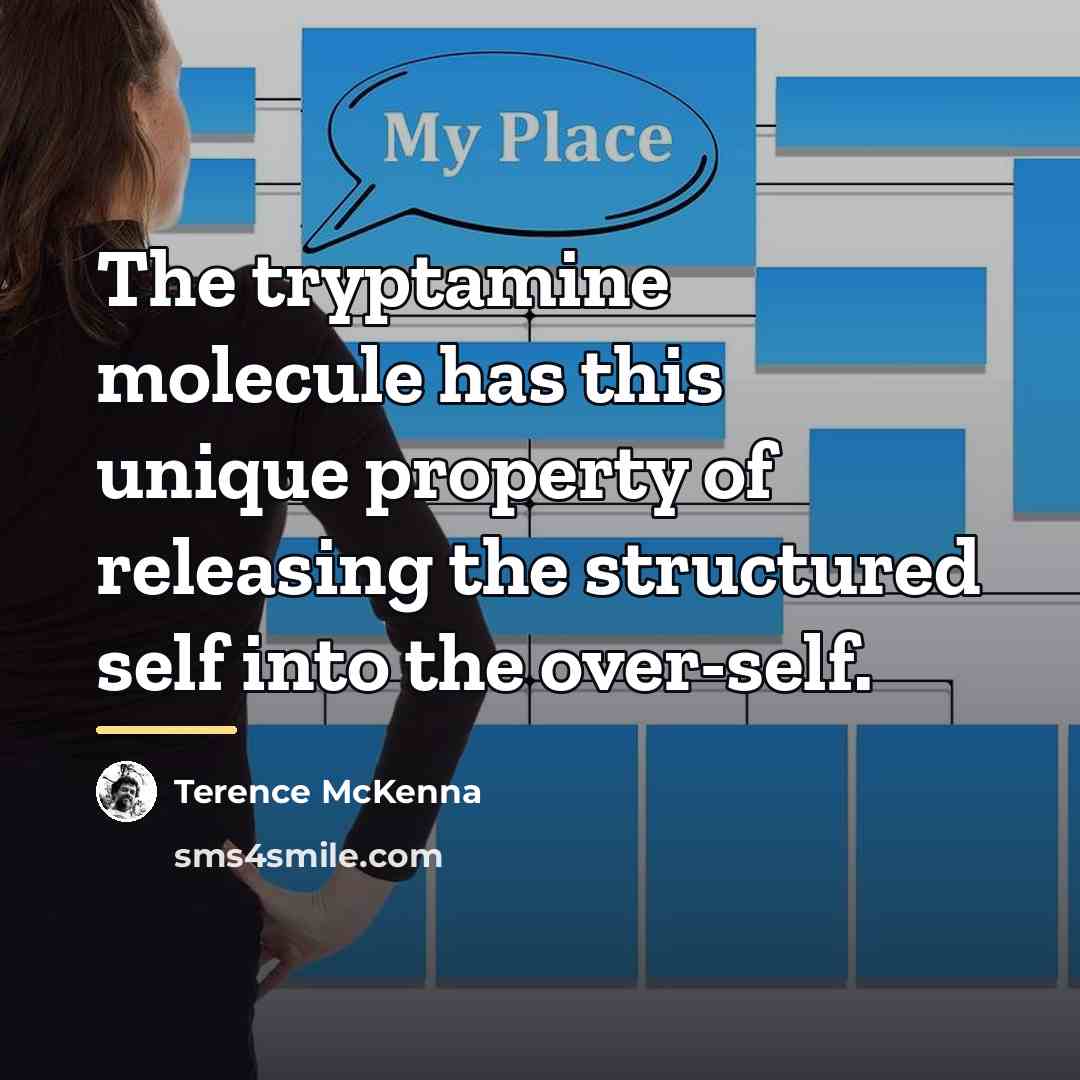“The tryptamine molecule has this unique property of releasing the…” quote by Terence McKenna