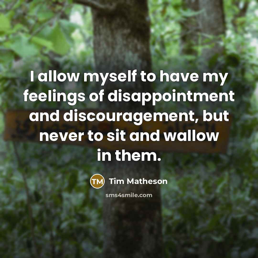 “I allow myself to have my feelings of disappointment and…” quote by Tim Matheson