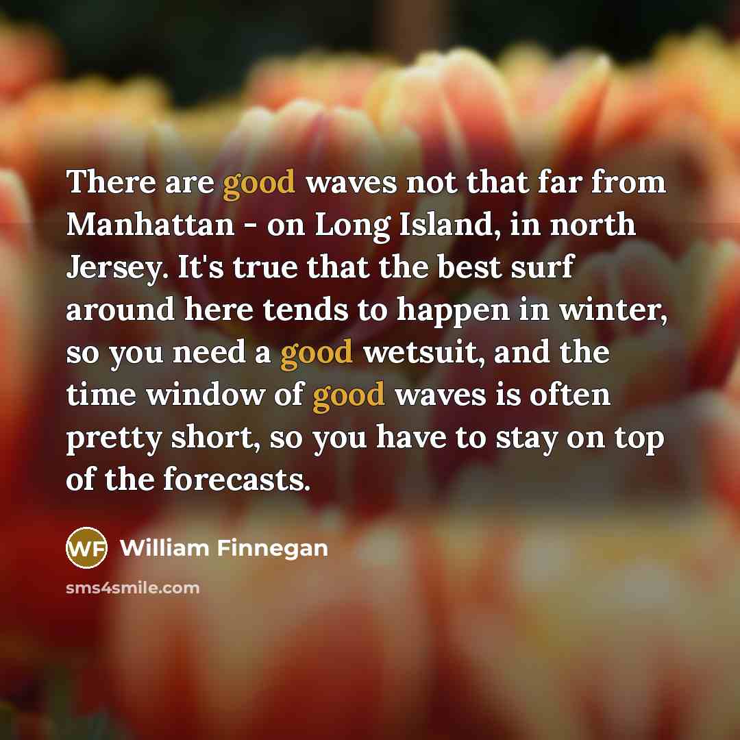 “There are good waves not that far from Manhattan -…” quote by William Finnegan