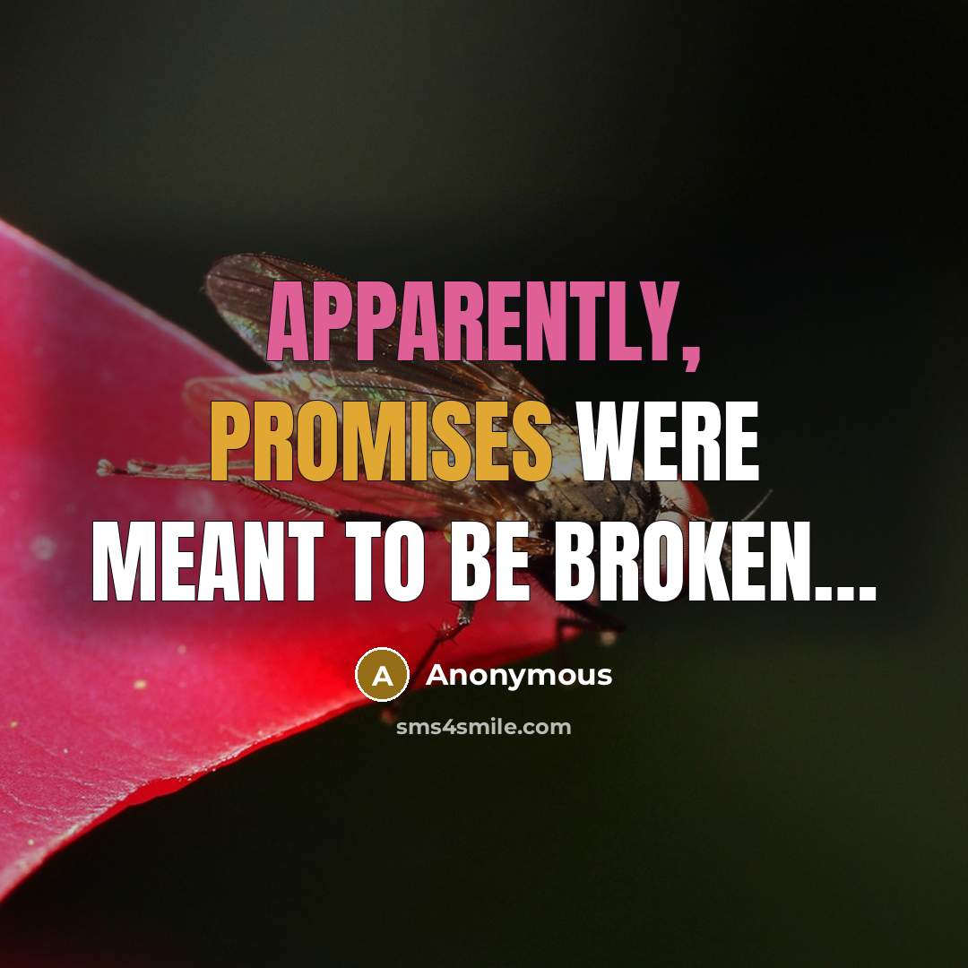 “Apparently, promises were meant to be broken…” quote by Anonymous