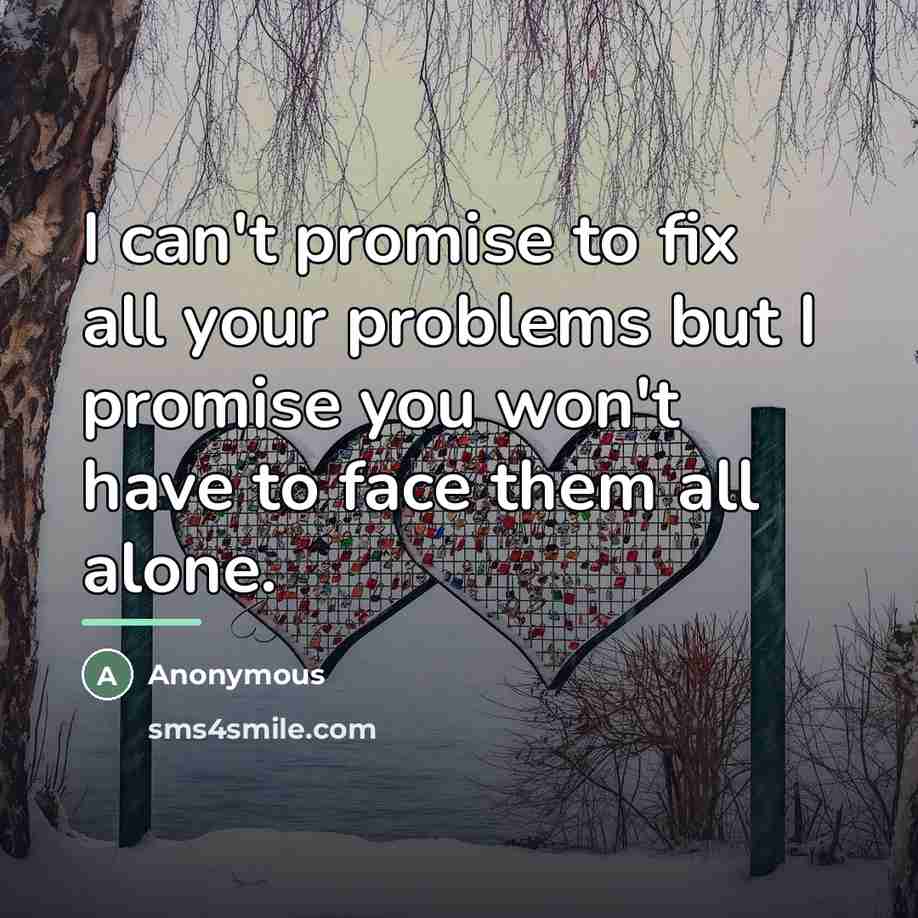 “I can't promise to fix all your problems but I…” quote by Anonymous