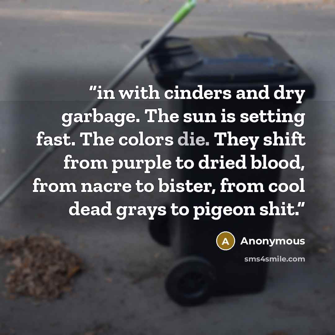 “in with cinders and dry garbage. The sun is setting fast. The colors die. They shift from purple to dried blood, from nacre to bister, from cool dead grays to pigeon shit.” quote by Anonymous