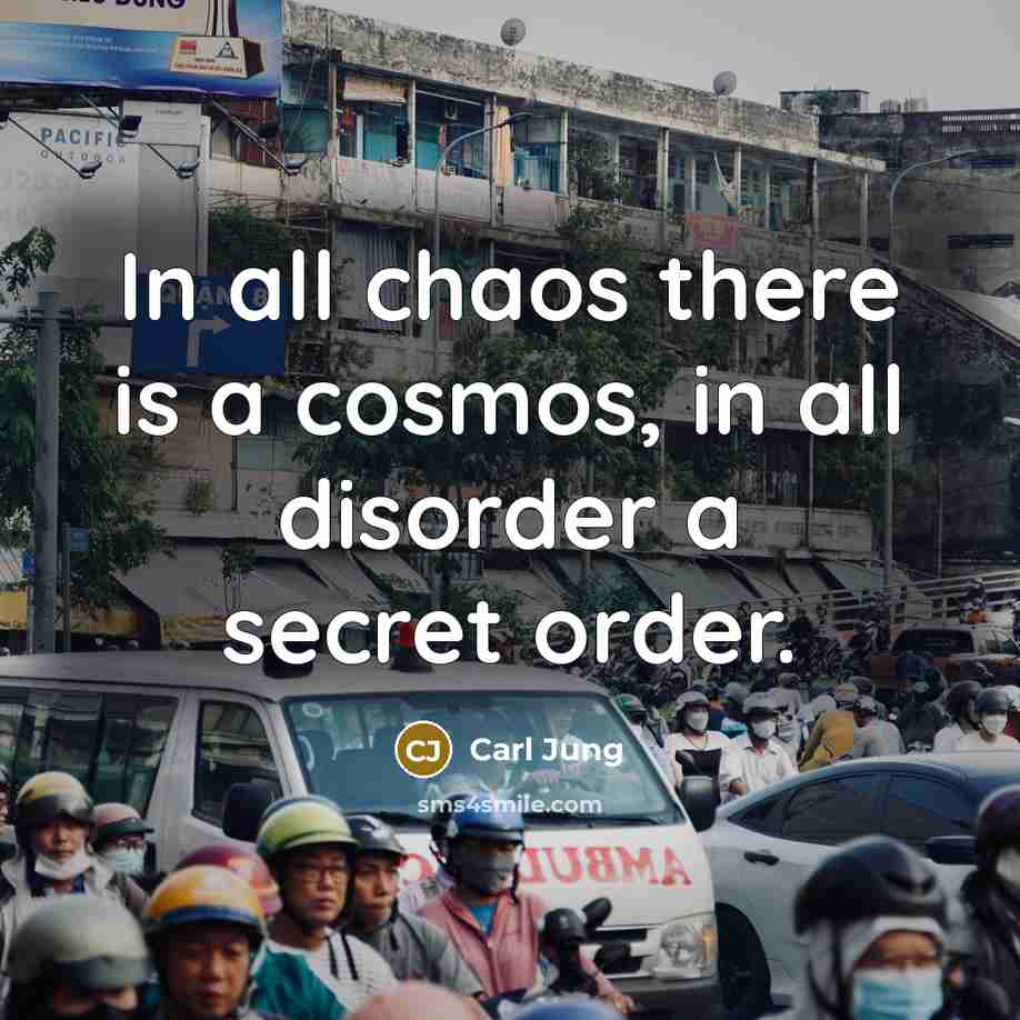 “In all chaos there is a cosmos, in all disorder…” quote by Carl Jung