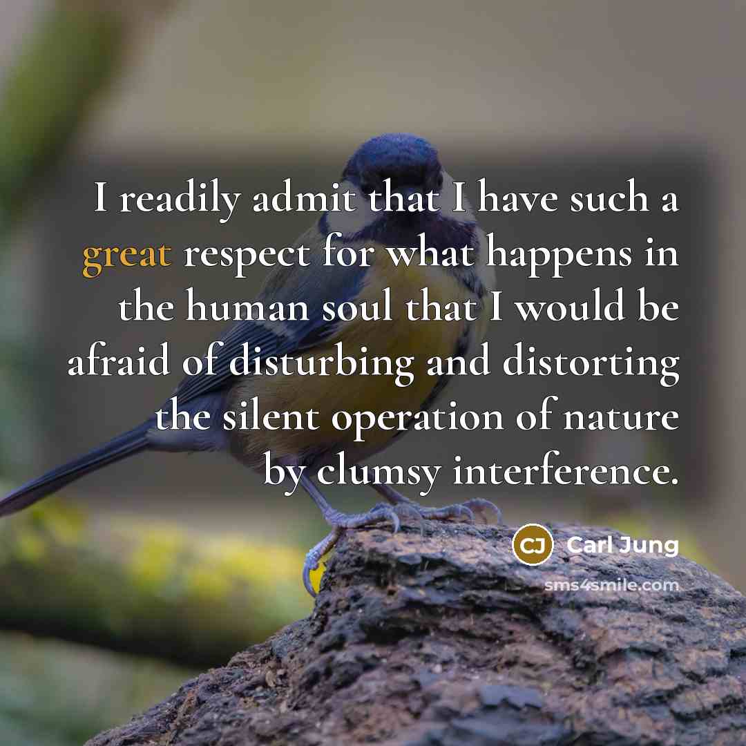 “I readily admit that I have such a great respect…” quote by Carl Jung
