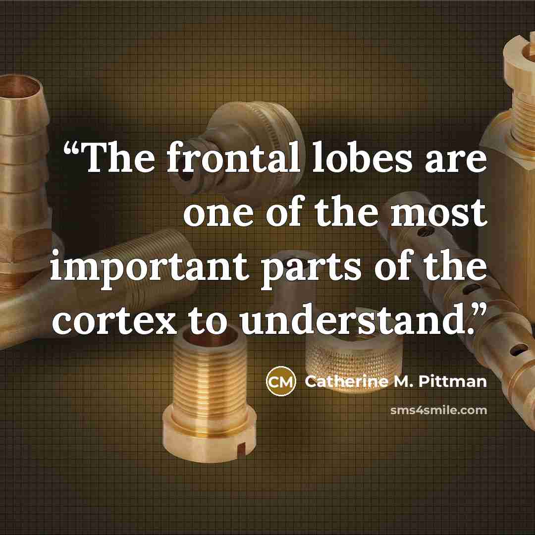 “The frontal lobes are one of the most important parts of the cortex to understand.” quote by Catherine M. Pittman