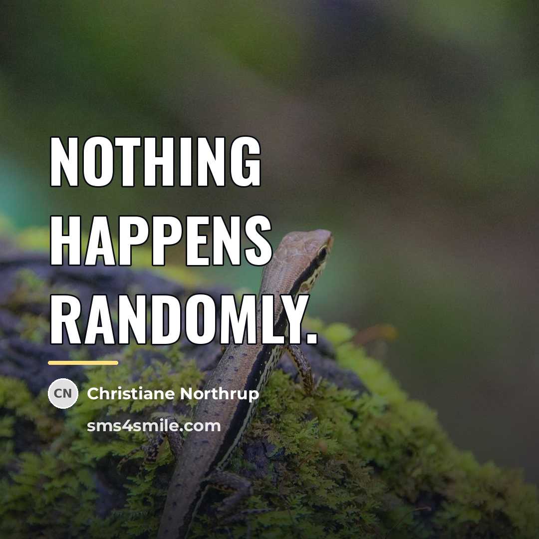 “Nothing happens randomly.…” quote by Christiane Northrup