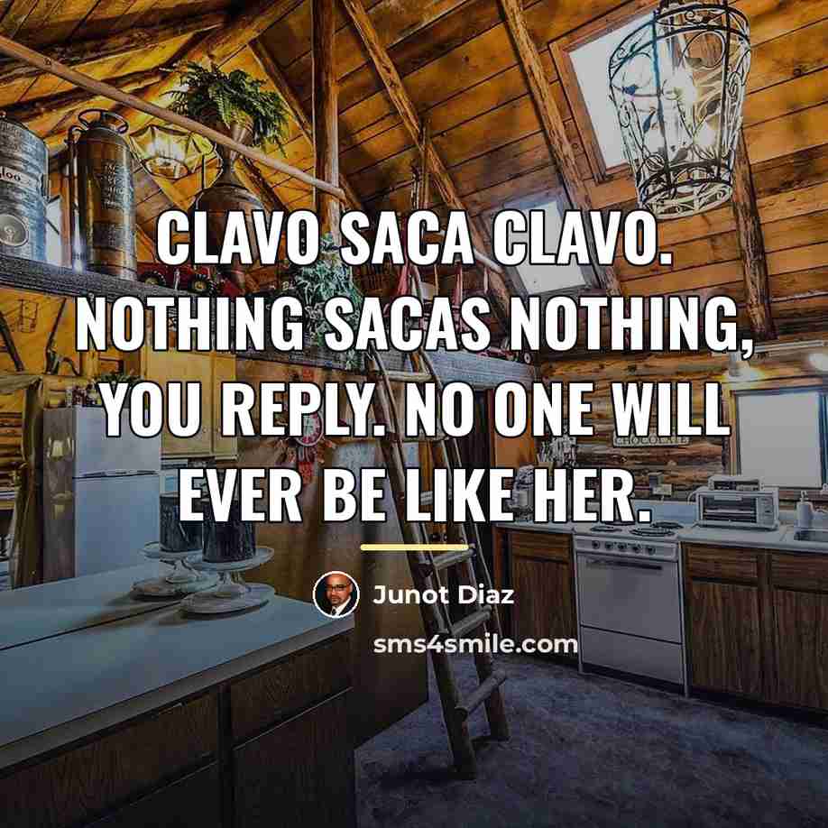 “Clavo saca clavo. Nothing sacas nothing, you reply. No one…” quote by Junot Diaz