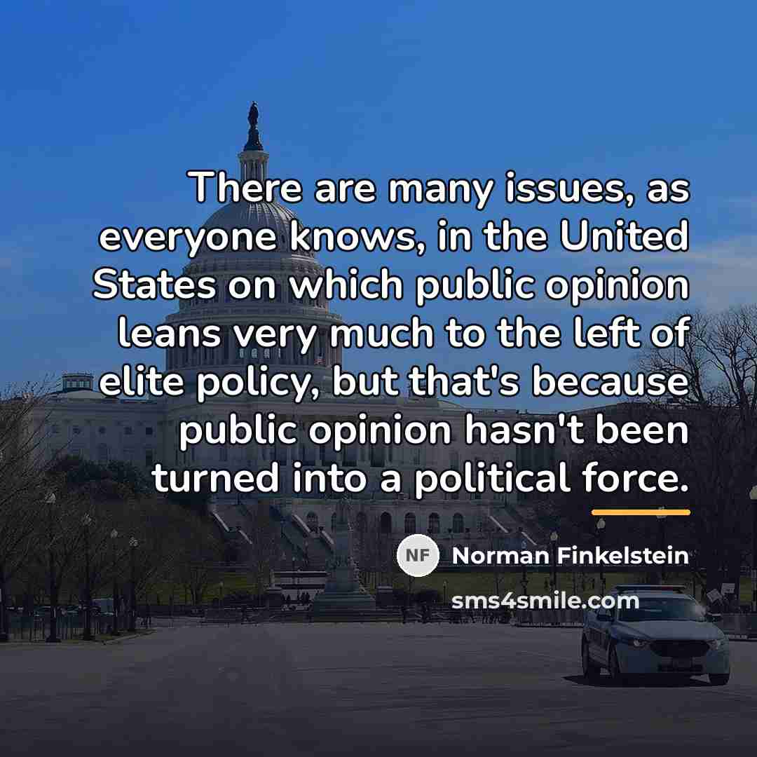 “There are many issues, as everyone knows, in the United…” quote by Norman Finkelstein