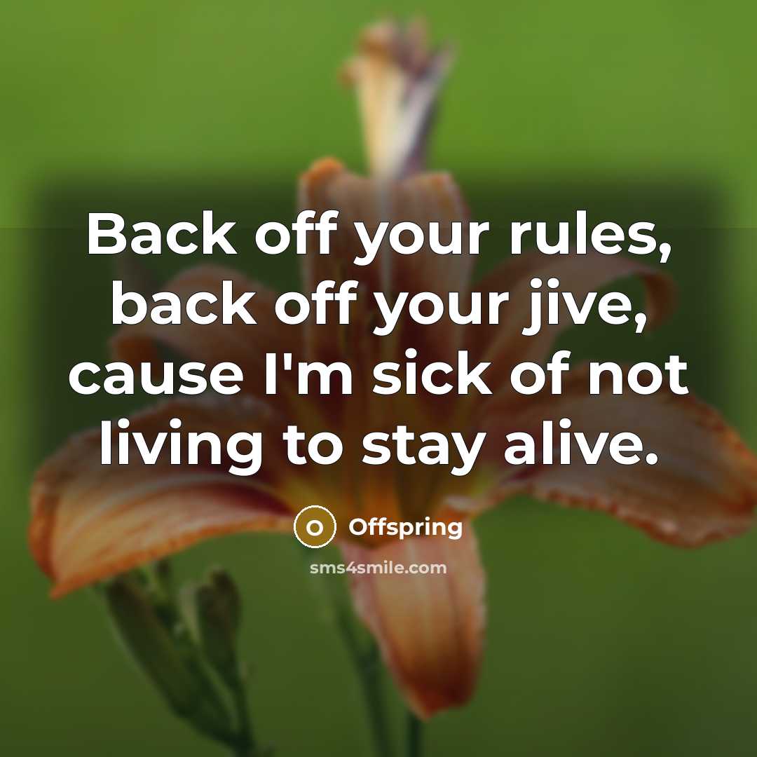“Back off your rules, back off your jive, cause I'm sick of not living to stay alive.” quote by Offspring