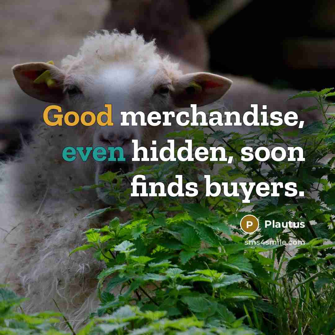 “Good merchandise, even hidden, soon finds buyers.…” quote by Plautus
