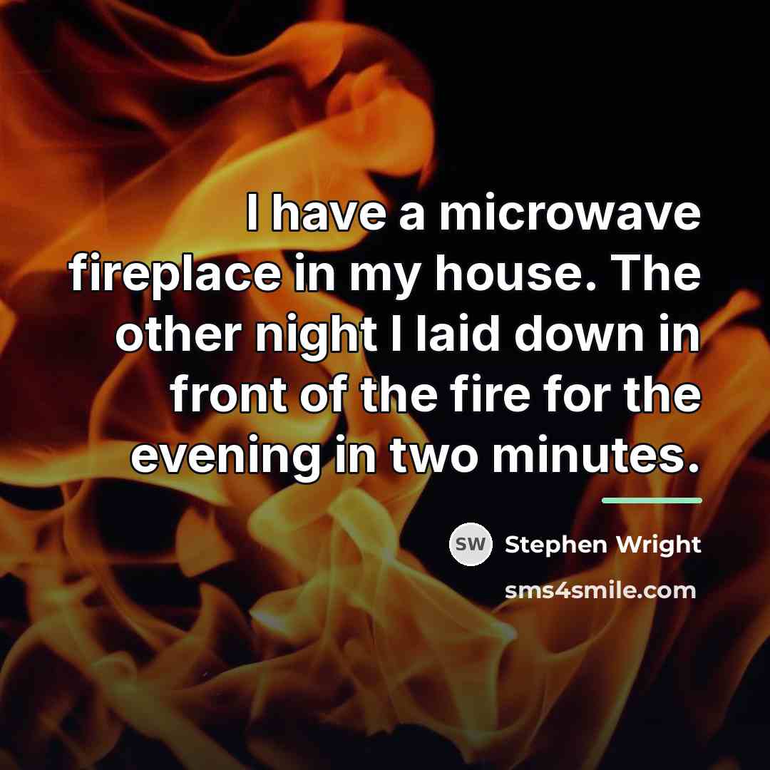 “I have a microwave fireplace in my house. The other…” quote by Stephen Wright