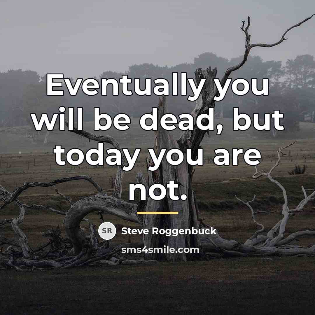 “Eventually you will be dead, but today you are not.…” quote by Steve Roggenbuck