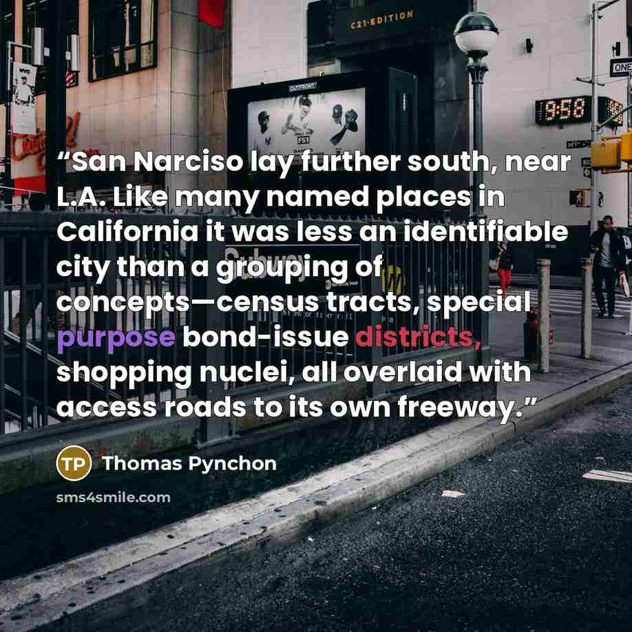 “San Narciso lay further south, near L.A. Like many named places in California it was less an identifiable city than a grouping of concepts—census tracts, special purpose bond-issue districts, shopping nuclei, all overlaid with access roads to its own freeway.” quote by Thomas Pynchon