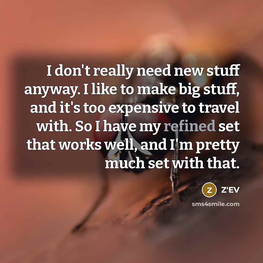 “I don't really need new stuff anyway. I like to…” quote by Z'EV