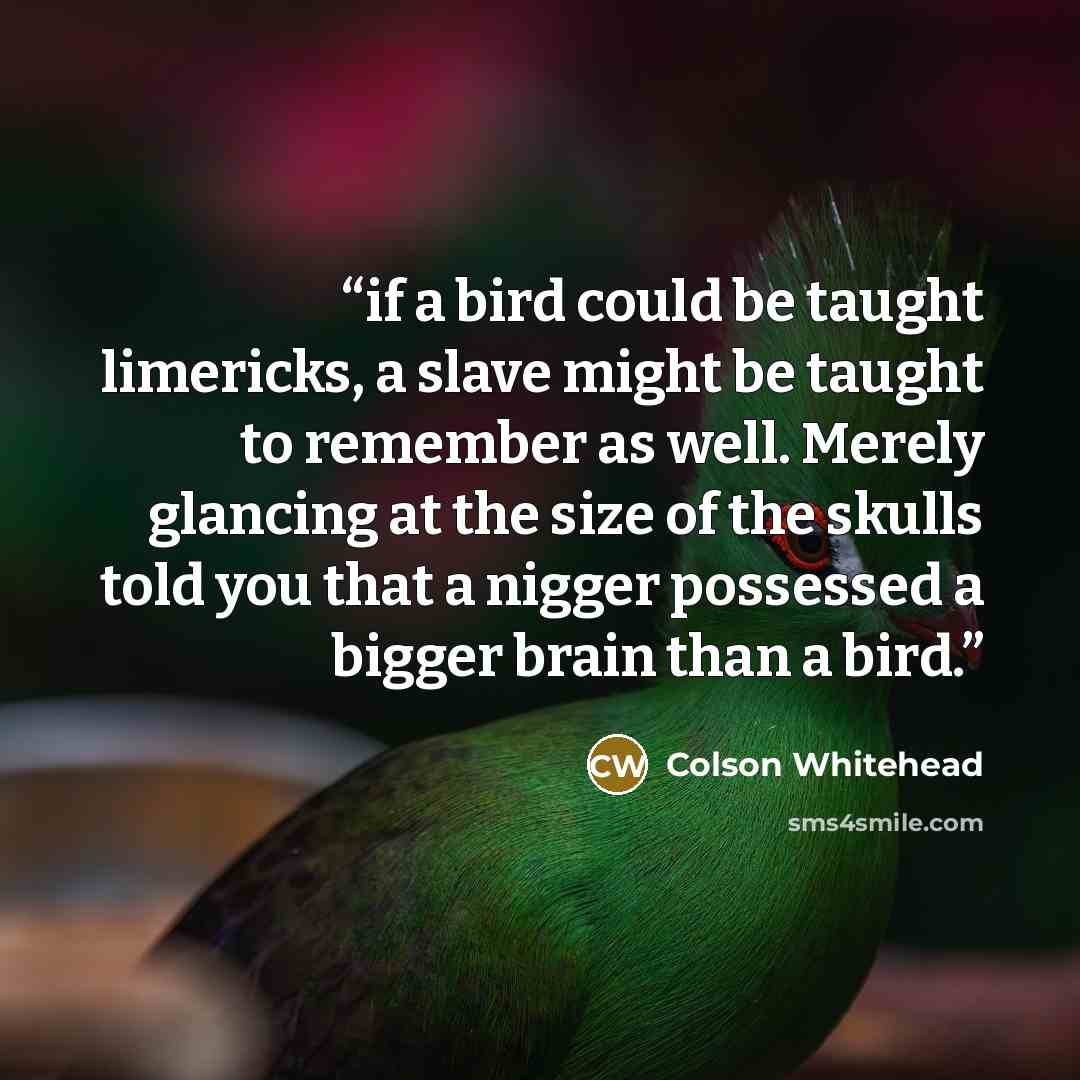 “if a bird could be taught limericks, a slave might be taught to remember as well. Merely glancing at the size of the skulls told you that a nigger possessed a bigger brain than a bird.” quote by Colson Whitehead
