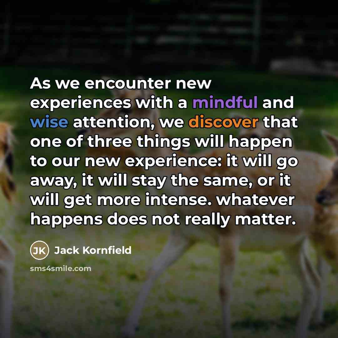 “As we encounter new experiences with a mindful and wise…” quote by Jack Kornfield