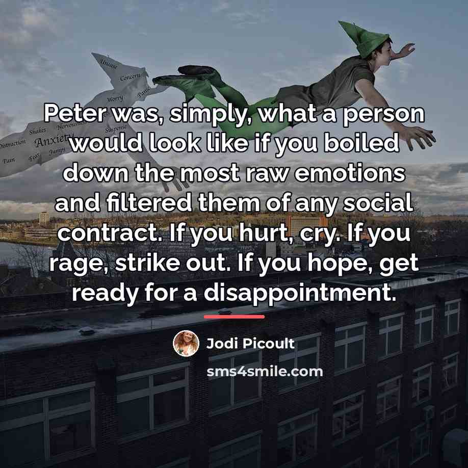 “Peter was, simply, what a person would look like if…” quote by Jodi Picoult
