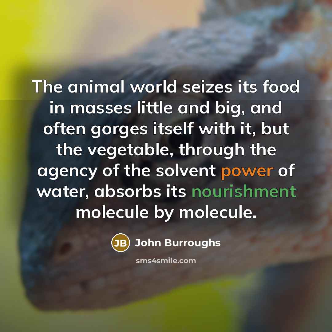 “The animal world seizes its food in masses little and…” quote by John Burroughs
