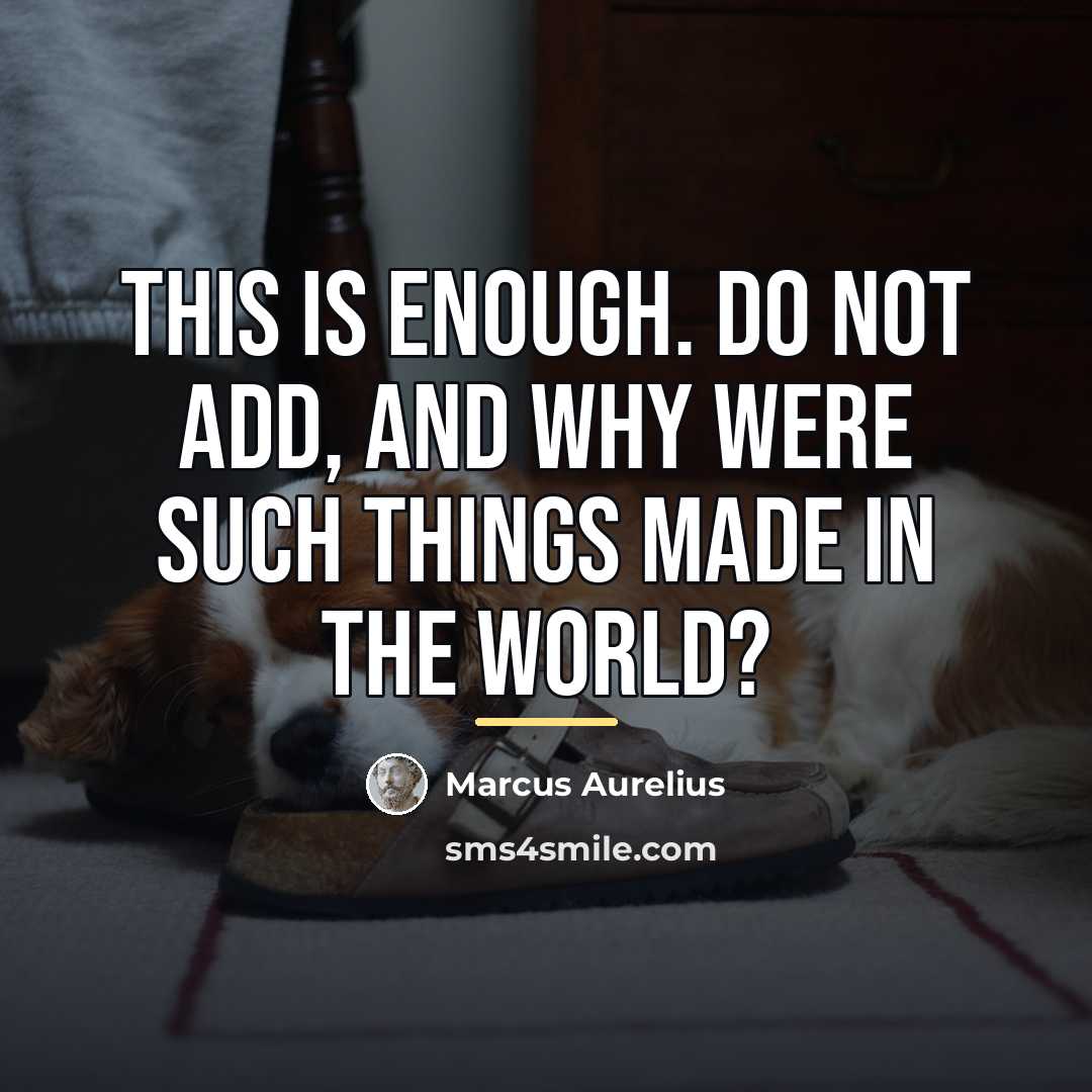 “This is enough. Do not add, And why were such…” quote by Marcus Aurelius
