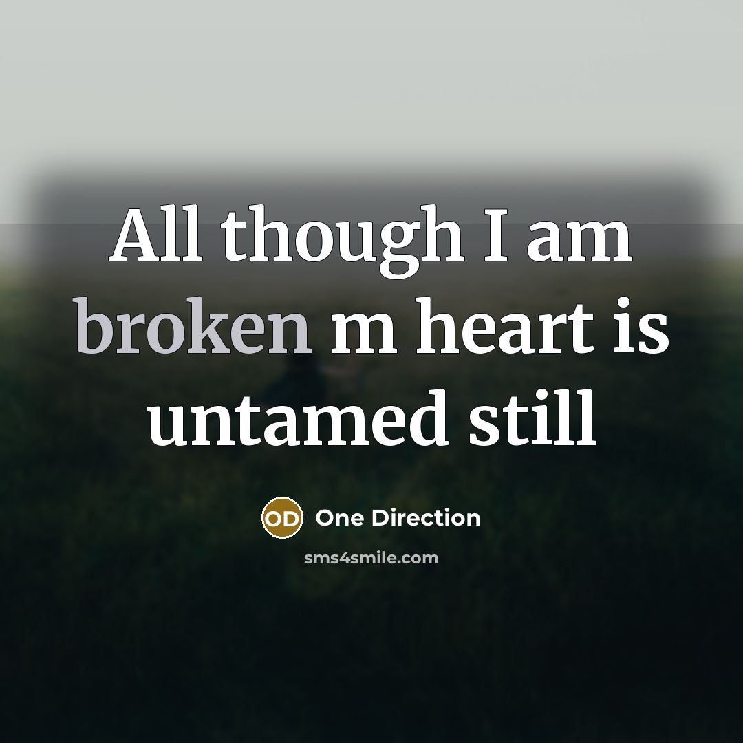 “All though I am broken m heart is untamed still…” quote by One Direction