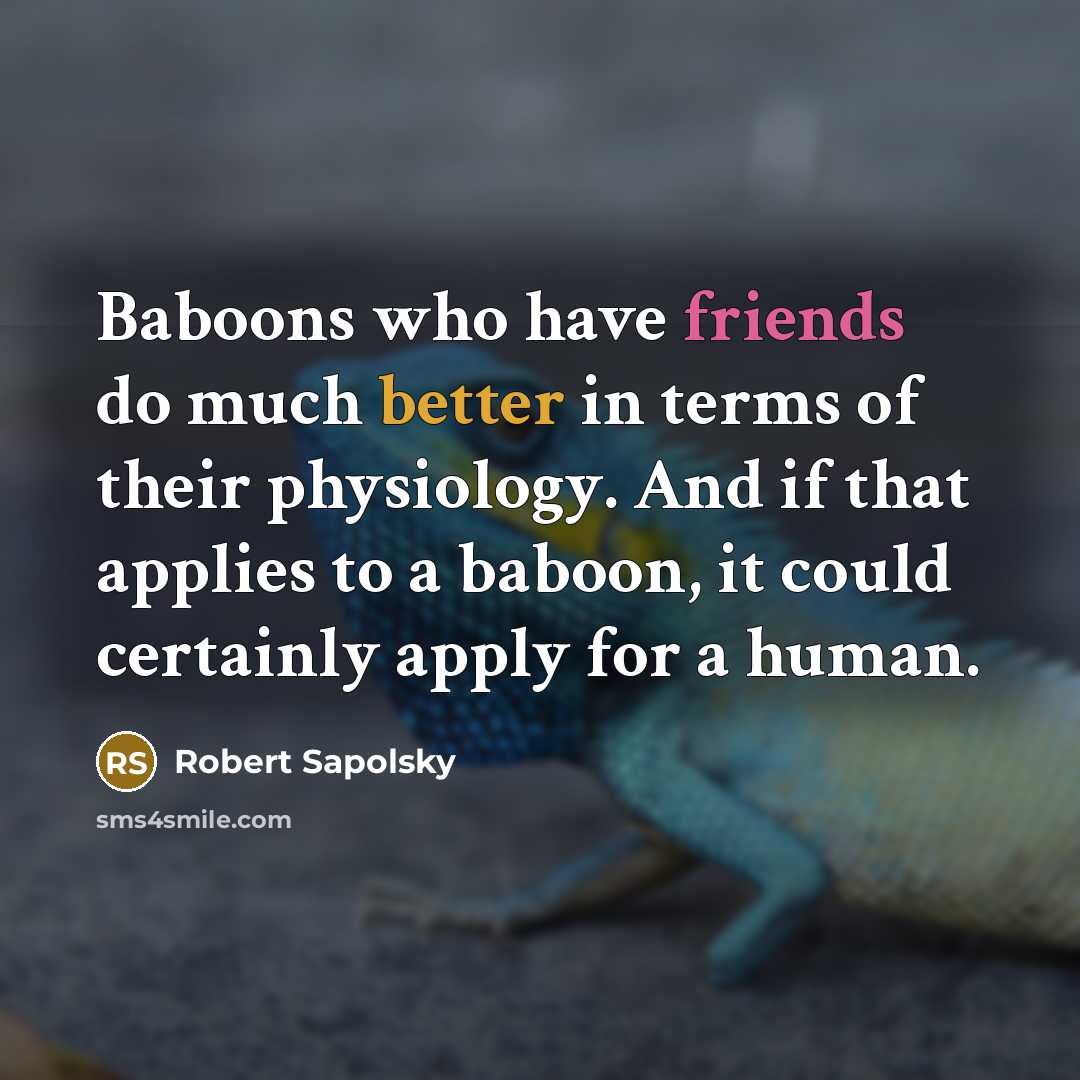 “Baboons who have friends do much better in terms of their physiology. And if that applies to a baboon, it could certainly apply for a human.” quote by Robert Sapolsky