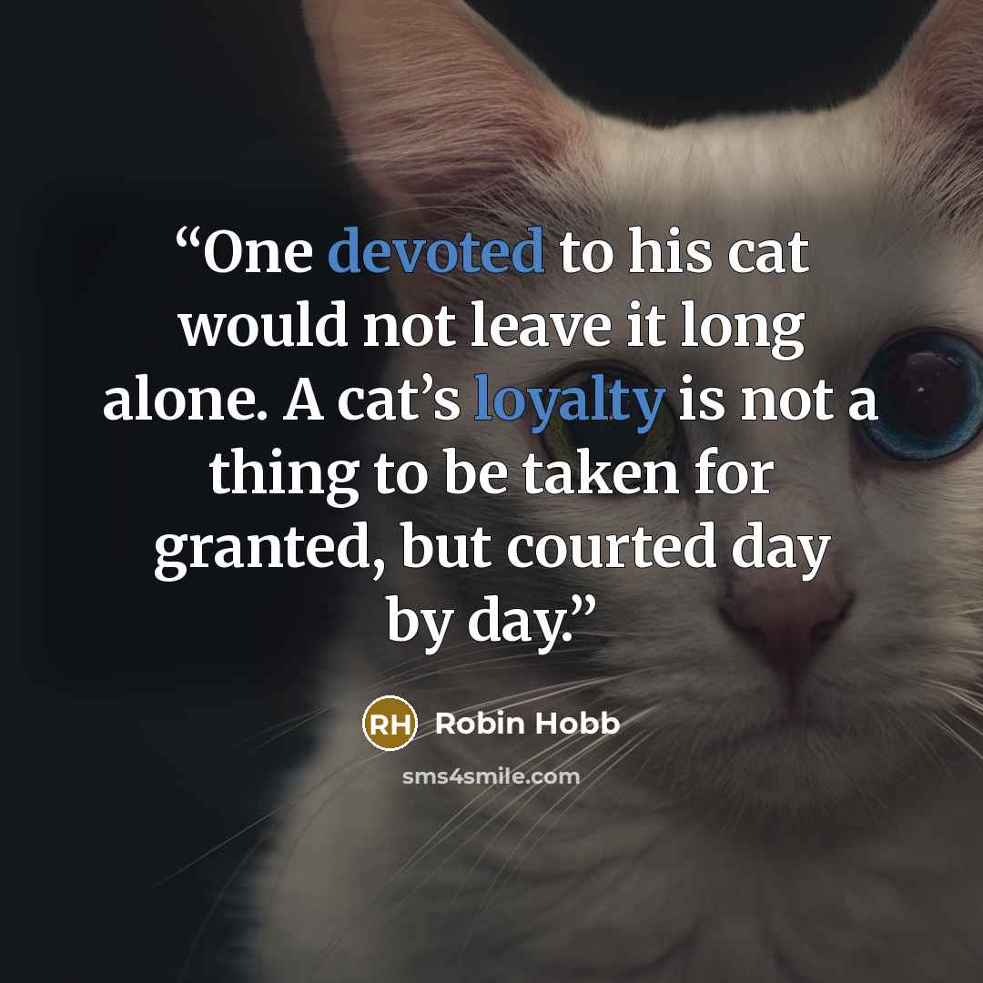“One devoted to his cat would not leave it long alone. A cat’s loyalty is not a thing to be taken for granted, but courted day by day.” quote by Robin Hobb