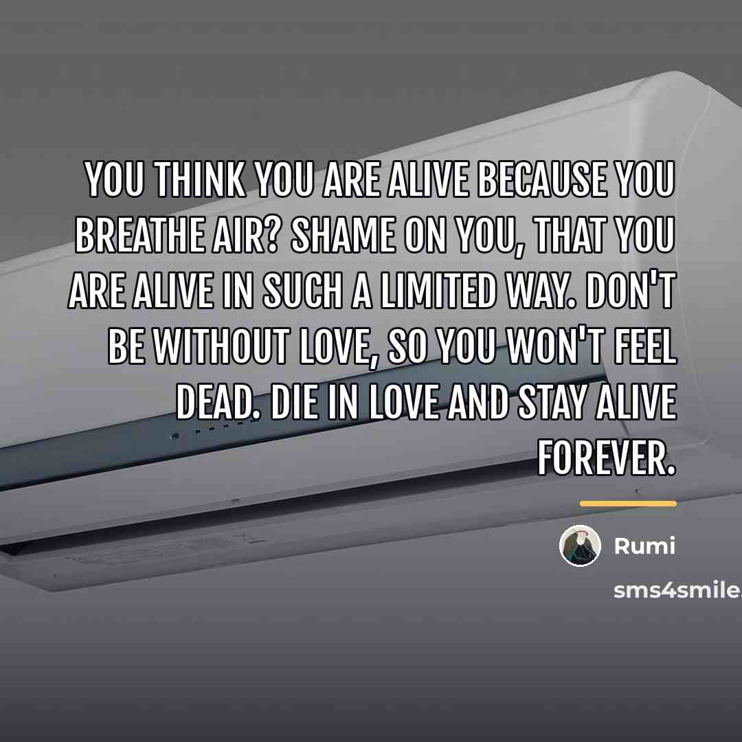 “You think you are alive because you breathe air? Shame…” quote by Rumi