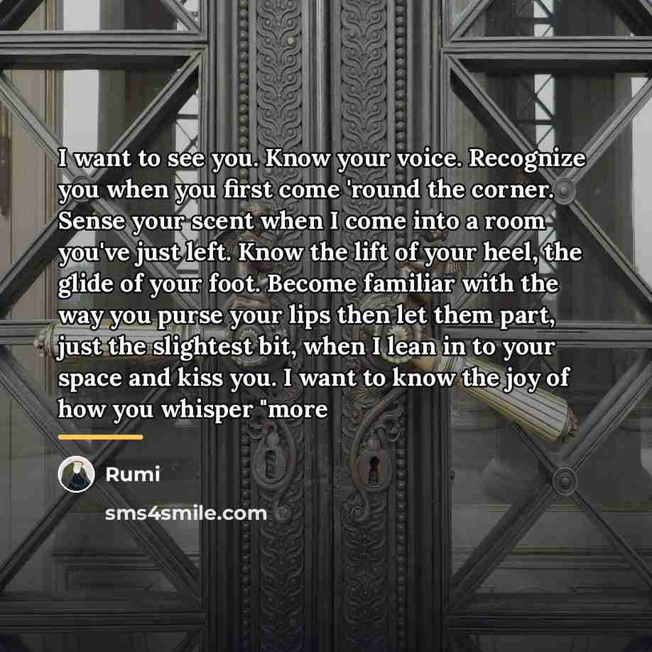 “I want to see you. Know your voice. Recognize you…” quote by Rumi