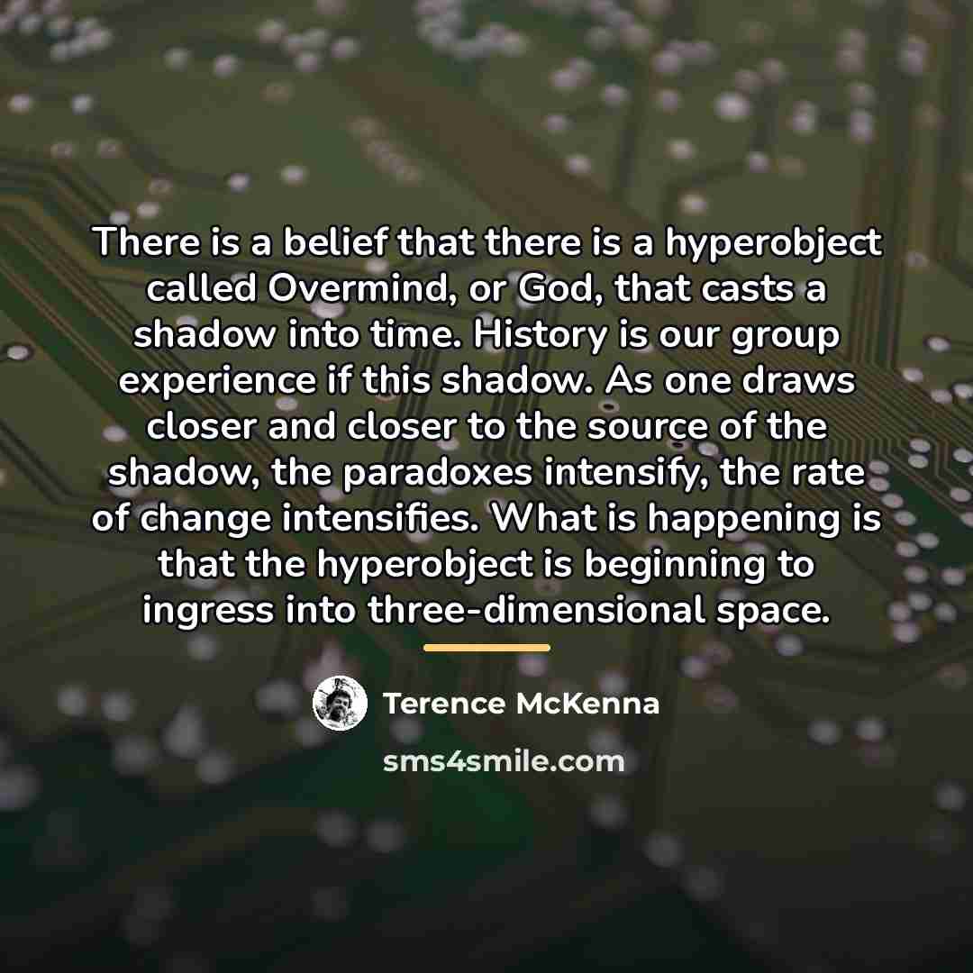 “There is a belief that there is a hyperobject called…” quote by Terence McKenna