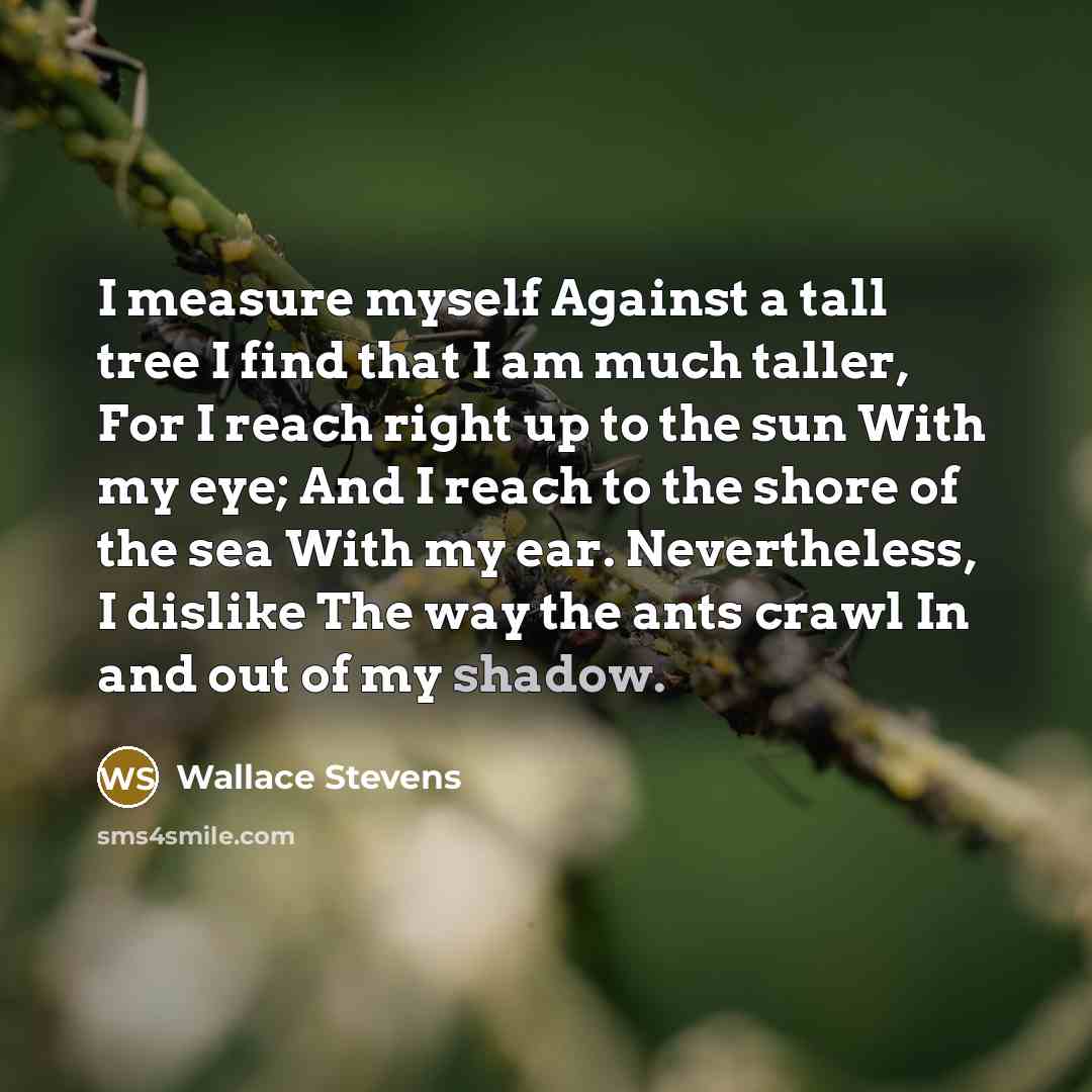 “I measure myself Against a tall tree I find that…” quote by Wallace Stevens